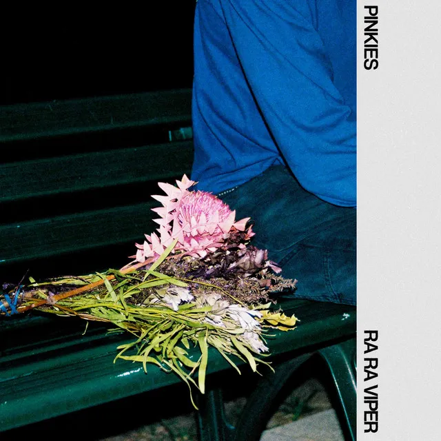 Pinkies cover art