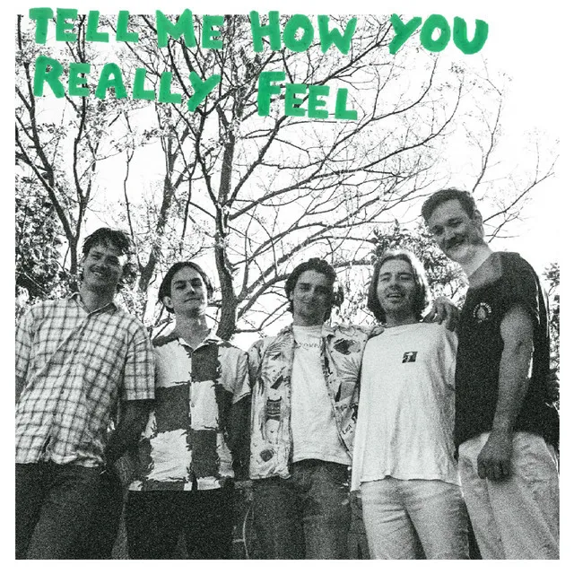 Tell Me How You Really Feel cover art